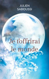 Je t'offrirai le monde - Julien Sabidussi - ebook