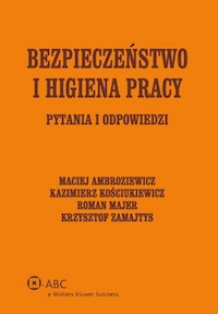 Bezpieczeństwo i higiena pracy - Kościukiewicz Kazimierz, Zamajtys Krzysztof, Ambroziewicz Maciej, Majer Roman - książka
