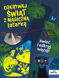 Odkrywaj świat z magiczną latarką - Młodnicka Magdalena - książka
