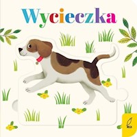 Czytanki - układanki Wycieczka - - książka