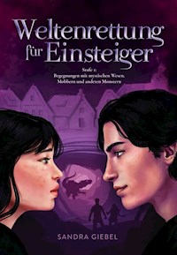 Weltenrettung für Einsteiger - Sandra Giebel - ebook