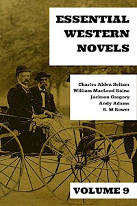 Essential Western Novels - Volume 9 - Charles Alden Seltzer - ebook