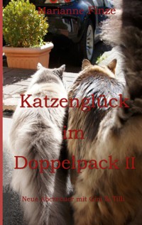 Katzenglück im Doppelpack II - Marianne Finze - ebook