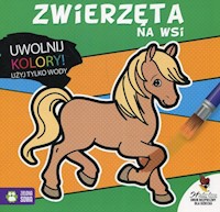 Uwolnij kolory Zwierzęta na wsi - Chudoba Maria - książka