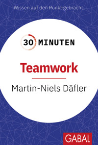 30 Minuten Teamwork - Martin-Niels Däfler - ebook