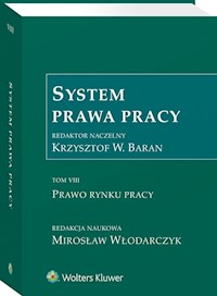 System Prawa Pracy Tom 7 Prawo rynku pracy -  - książka