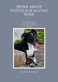 Wenn Angst plötzlich Alltag wird - Ann-Sophie Lützenberger - ebook