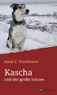 Kascha und der große Schnee - Anne C. Voorhoeve - ebook