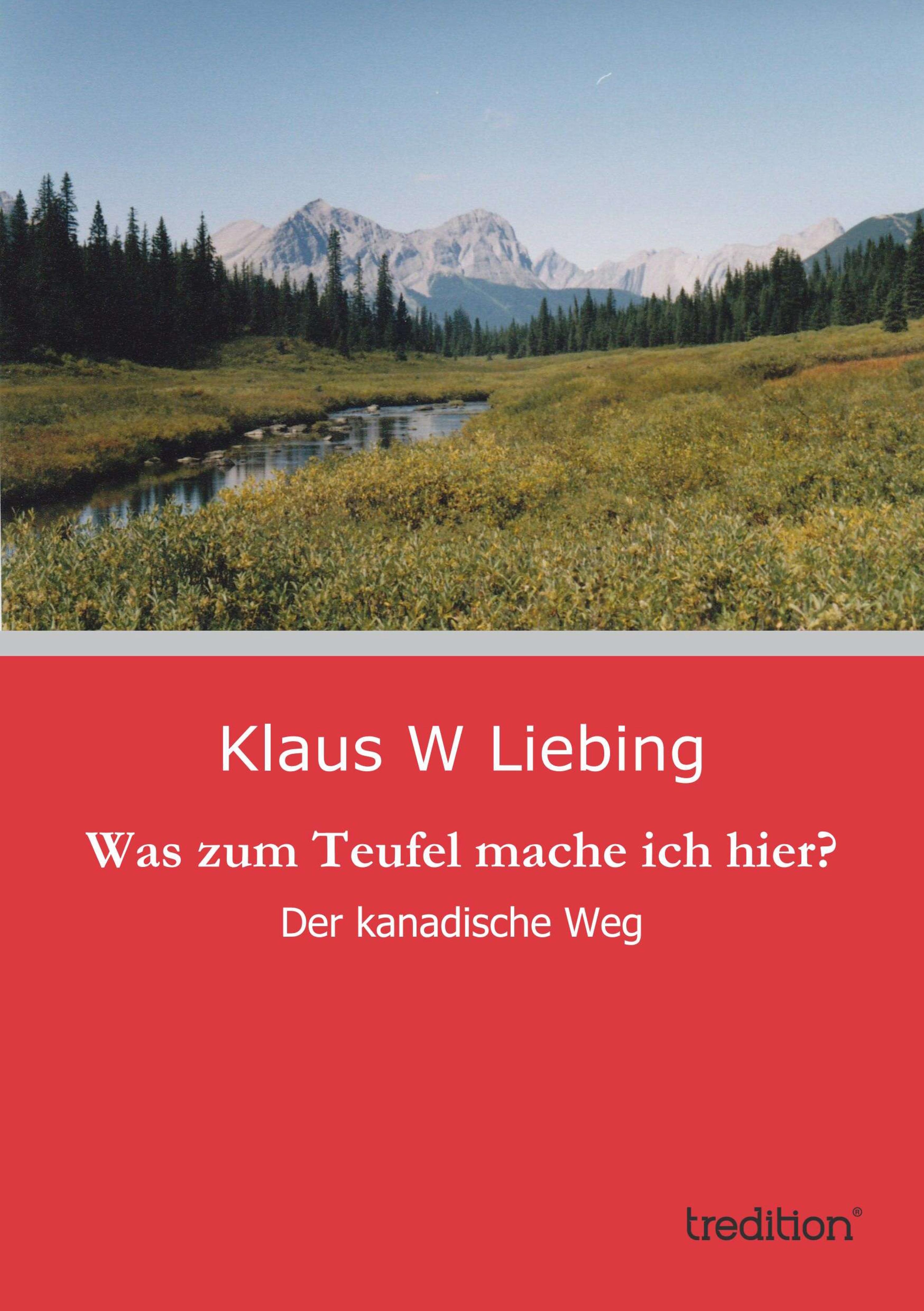 Was zum Teufel mache ich hier?