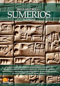Breve historia de los sumerios - Ana Martos Rubio - ebook