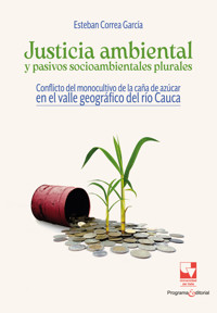 Justicia ambiental y pasivos socioambientales plurales - Esteban Correa García - ebook