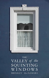 The Valley of the Squinting Windows - Brinsley McNamara - ebook