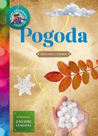 Młody obserwator przyrody. Pogoda - Iwona Wróbel - książka