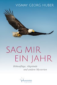 Sag mir ein Jahr - Vismay Georg Huber - ebook