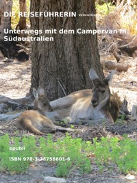 DIE REISEFÜHRERIN - Victoria Kramer - ebook