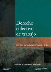 Derecho colectivo de trabajo - Manuel Gonzalo De Lama Laura - ebook