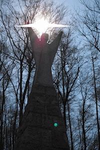 Die Doonies - Thomas Kurt Peter - ebook