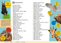 Idę do szkoły Obrazkowy słownik angielsko-polski polsko-angielski - Bigaj-Kisała Monika - książka