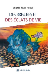 Des brisures et des éclats de vie - Brigitte Rever-Ndiaye - ebook