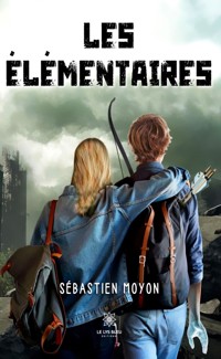 Les Élémentaires - Sébastien Moyon - ebook