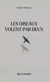 Les oiseaux volent par deux - Patrick Martinez - ebook