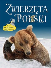 Zwierzęta Polski. Mała encyklopedia ilustrowana - Andrzej Kruszewicz - książka