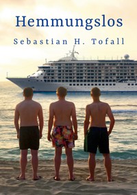 Hemmungslos - Sebastian H. Tofall - ebook