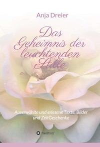 Das Geheimnis der leuchtenden Stille - Anja Dreier - ebook