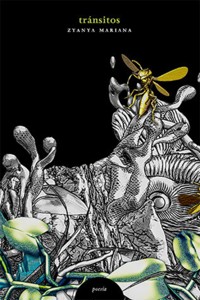 Tránsitos - Zyanya Mariana Mejía Ascencio - ebook