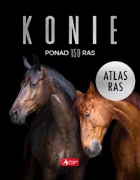 Konie. Atlas ras - Piechocka Katarzyna - książka