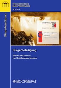 Bürgerbeteiligung - Siegfried Mauch - ebook