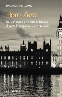 Hora Zero - Emilio Grandio Seoane - ebook