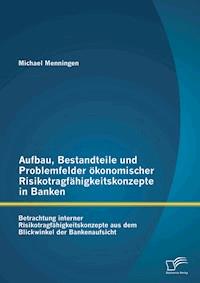 Aufbau, Bestandteile und Problemfelder ökonomischer Risikotragfähigkeitskonzepte in Banken: Betrachtung interner Risikotragfähigkeitskonzepte aus dem Blickwinkel der Bankenaufsicht - Michael Menningen - ebook