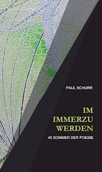 IM IMMERZU WERDEN - Paul Schurr - ebook
