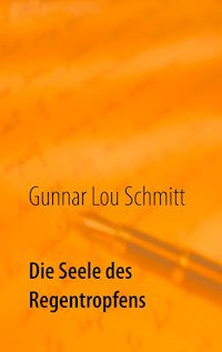 Die Seele des Regentropfens - Gunnar Lou Schmitt - ebook