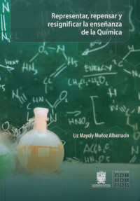 Representar, repensar y resignificar la enseñanza de la química - Liz Mayoly Muñoz Albarracín - ebook