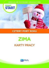Pewny start Cztery pory roku Materiały ćwiczeniowe Zima -  - książka