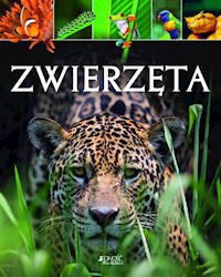 Zwierzęta - Leach Michael, Lland Meriel - książka