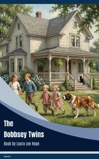 The Bobbsey Twins - Laura Lee Hope - ebook