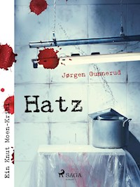 Hatz - Jørgen Gunnerud - ebook