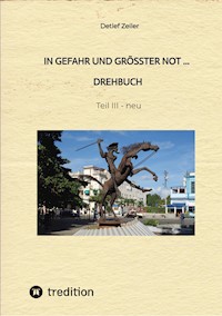 In Gefahr und größter Not - Drehbuch - Detlef Zeiler - ebook