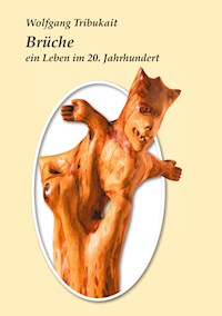 Brüche - Wolfgang Tribukait - ebook