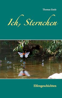 Ich, Sternchen - Thomas Eisele - ebook