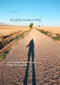 Ich gehe meinen Weg - Carola Budsky - ebook