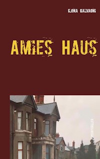 Amies Haus - Ilona Galvagni - ebook