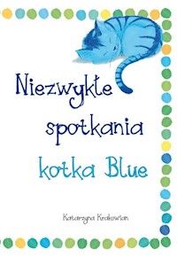 Niezwykłe spotkania kotka Blue - Krakowian Katarzyna - książka