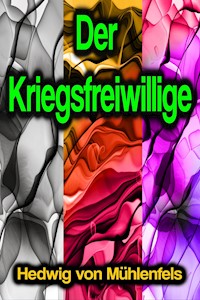Der Kriegsfreiwillige - Hedwig von Mühlenfels - ebook