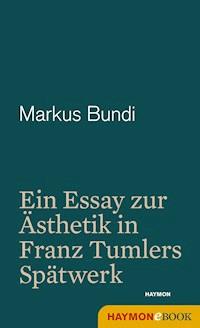 Wirklichkeit im Nachsitzen - Markus Bundi - ebook