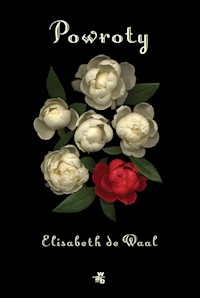 Powroty - De Waal Elisabeth - książka