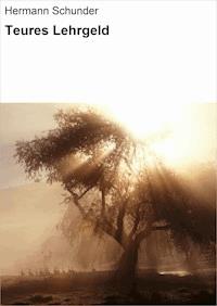 Teures Lehrgeld - Hermann Schunder - ebook